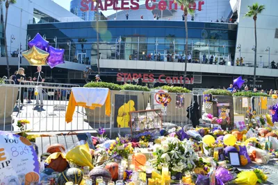 DSC_7130 (Large).JPG